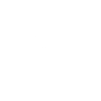 map icon